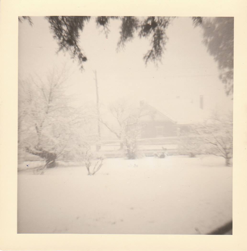 1965-snow-drharbisonlawn-sylviahalloran