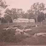 Pumping Shed 1939